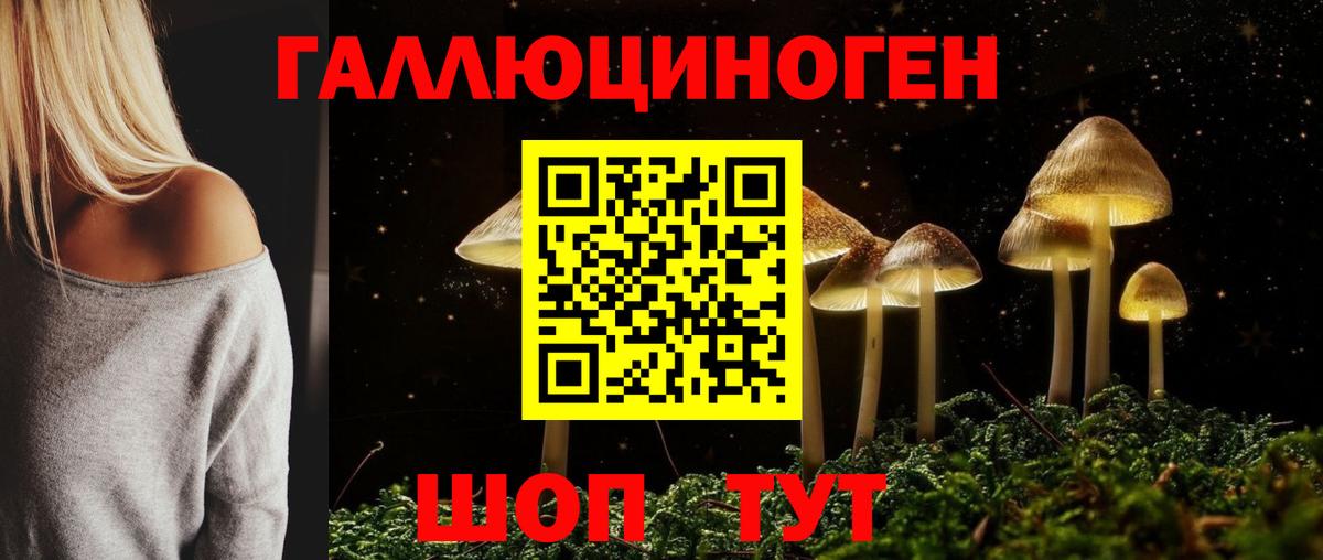 Зима  купить  цена  Вход с VPN  Псилоцибиновые грибы Cubensis 